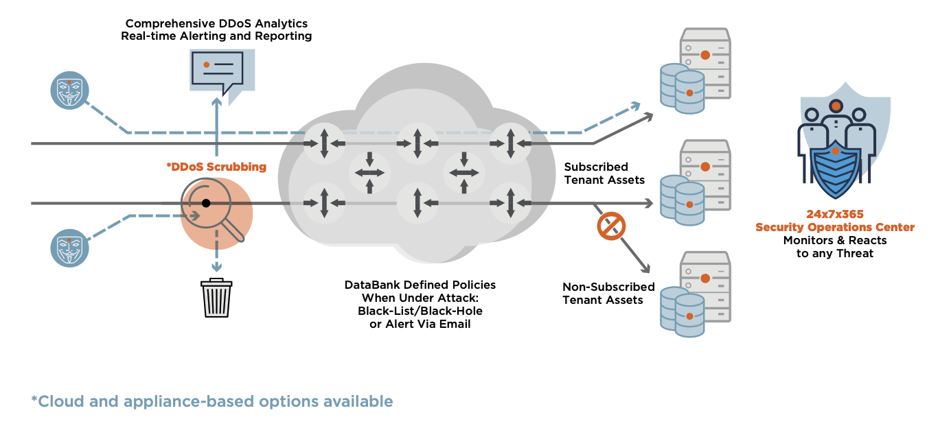 Databank's DDoS mitigation services